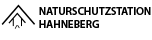 Logo Spandau