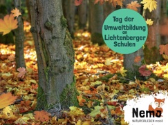 Wald mit Schriftzug Tag der Umweltbildung an Lichtenberger Schulen