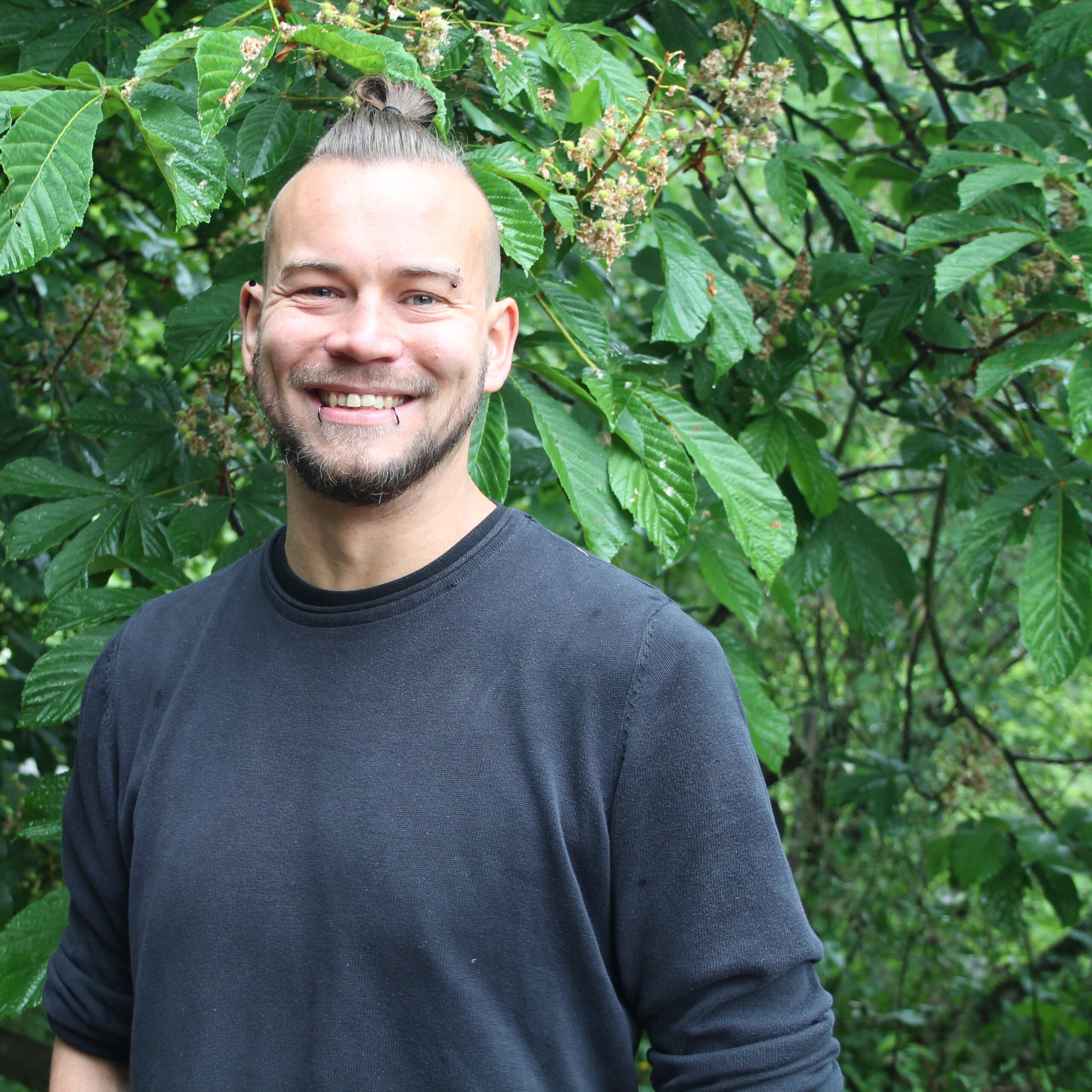 Home kontakt paul krüger